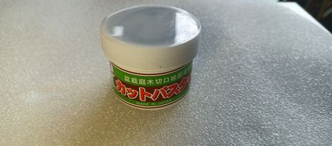 Bonsai Cut Paste, White, for Deciduous Trees, 190g